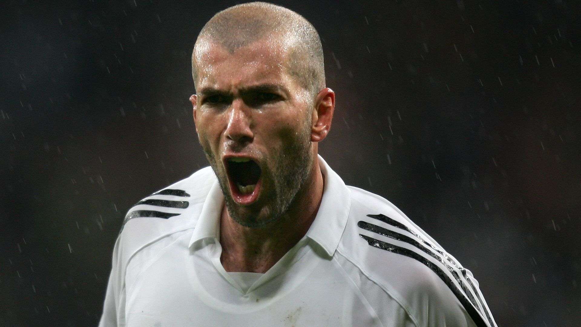 领域取得了 领域取得了